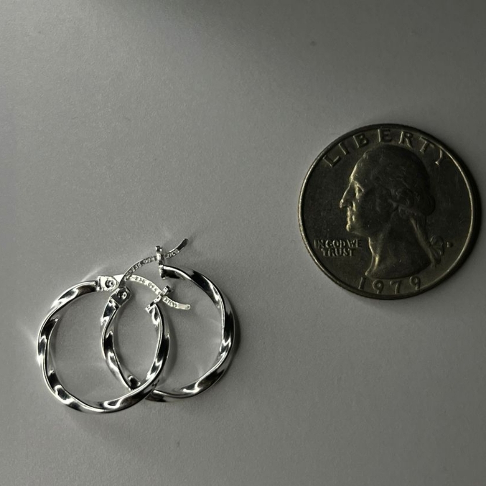 Elegant Silver Hoop Earrings